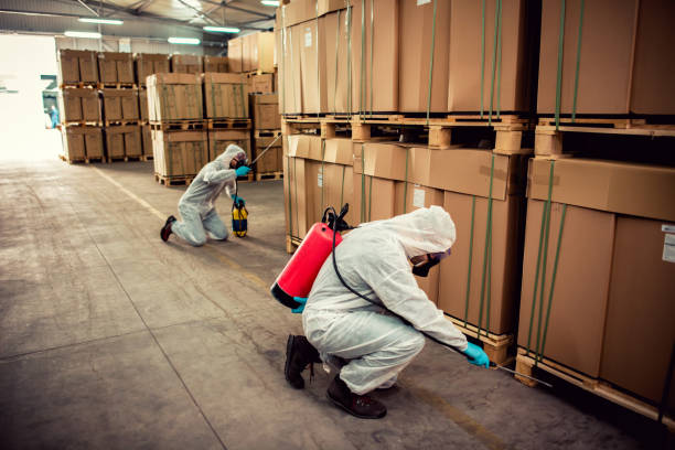 Best Cockroach Control Services  in Janesville, IA