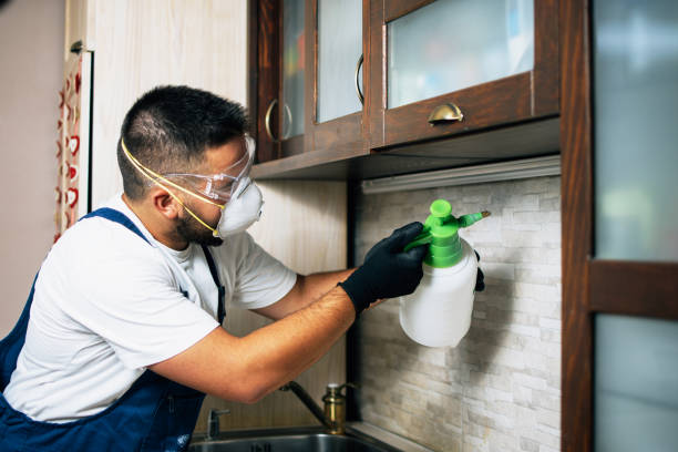 Best Pest Control Near Me  in Janesville, IA