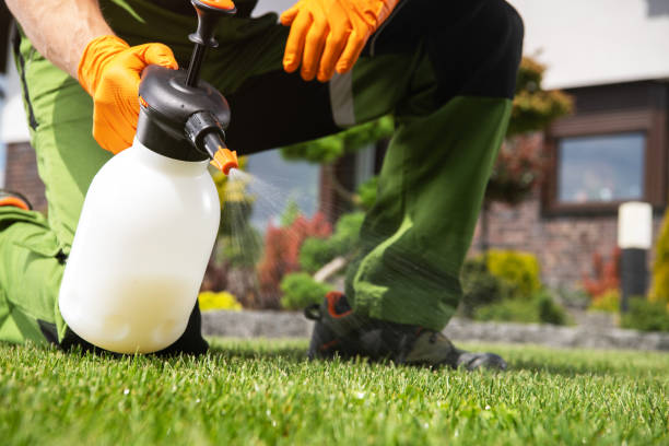 Best Flea Control Services  in Janesville, IA
