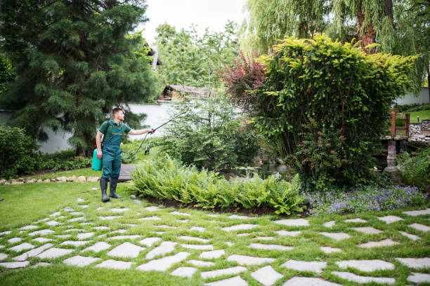 Best Ant Control Services  in Janesville, IA