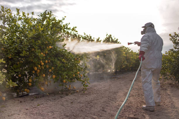 Best Residential Pest Control  in Janesville, IA