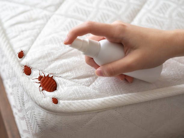 Best Affordable Pest Control Services  in Janesville, IA