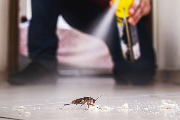 Best Local Pest Control Services  in Janesville, IA