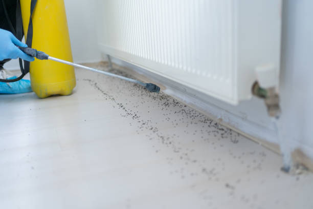 Pest Control Cost in Janesville, IA