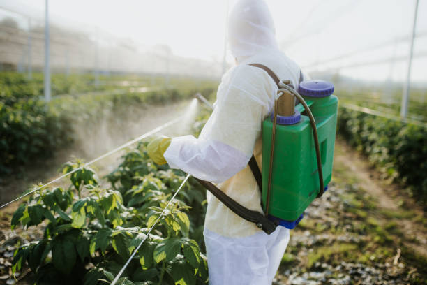 Best Wasp Removal Services  in Janesville, IA